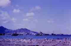 ���� ������ ��� ��� ����